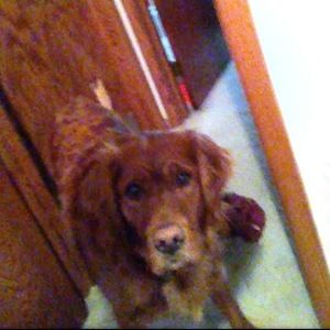 Meet your Posher, Erik